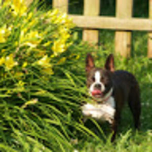 Meet your Posher, Debbie